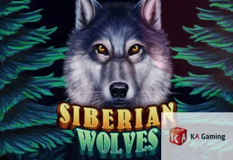 Siberian Wolves